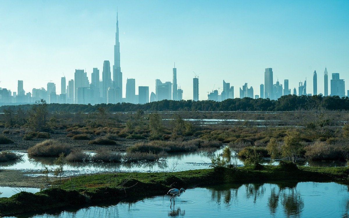 Meydan Horizon / Sobha Hartland 2